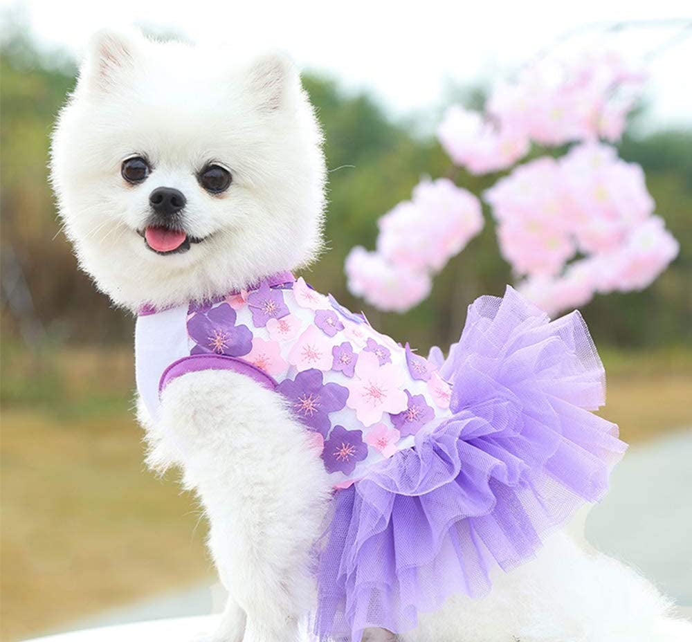 Dog Dresses for Small Dogs Girl 3 Pack Summer Puppy Clothes Outfit Apparel Female Cute Cat Skirt Pup Tutu Pink Yorkie Clothing Breathable Pet Dress for French Bulldog Chihuahua (AA, X-Small)